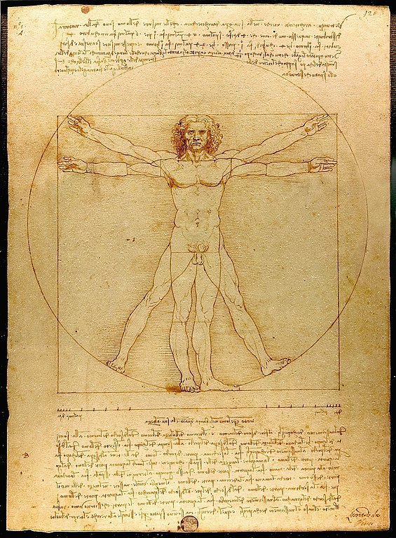 Leonardo Da Vinci - The Vitruvian Man